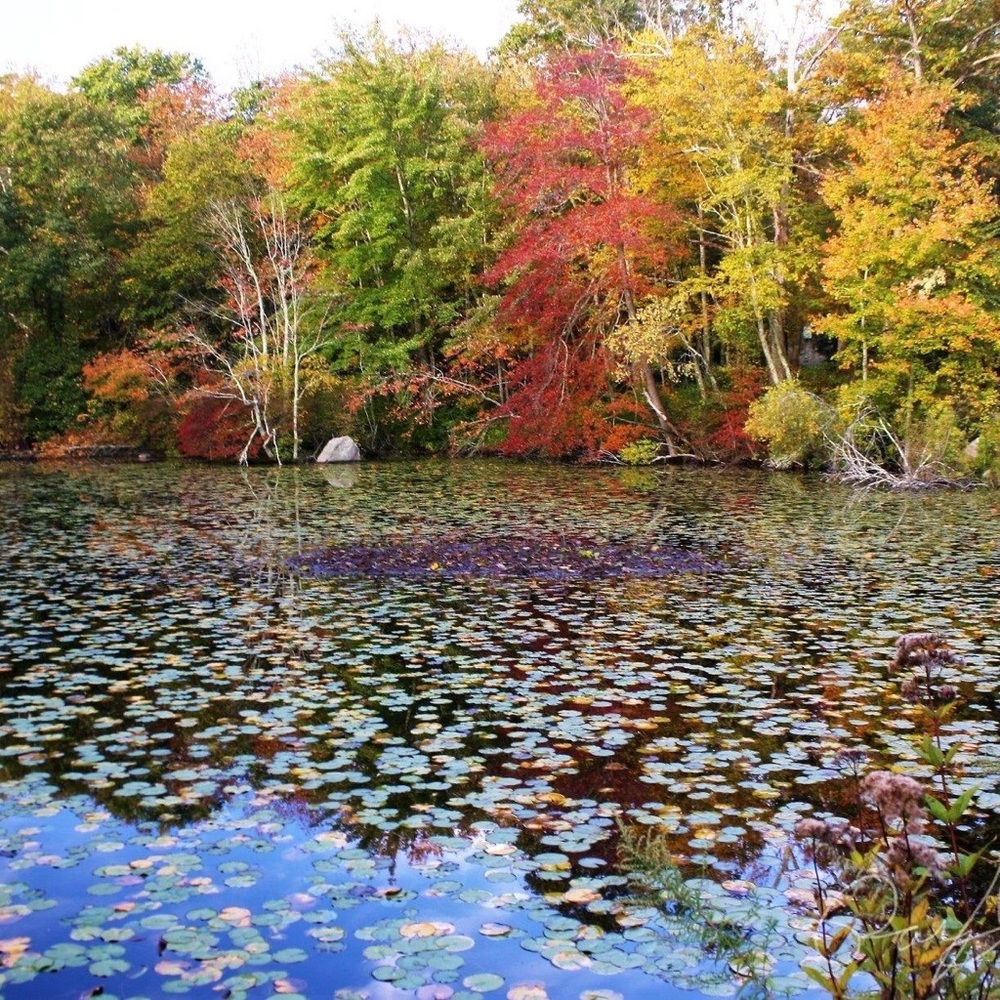 Meet your Posher, Jenn